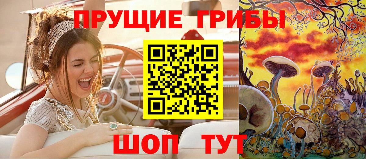 Псилоцибиновые грибы Cubensis  Вход с VPN  Янаул 