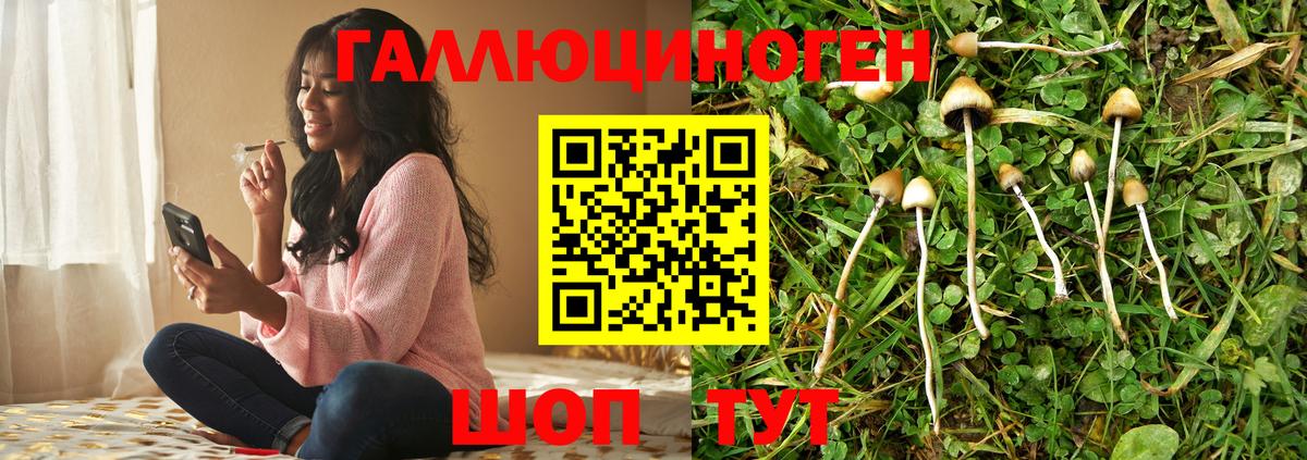 Псилоцибиновые грибы GOLDEN TEACHER Янаул